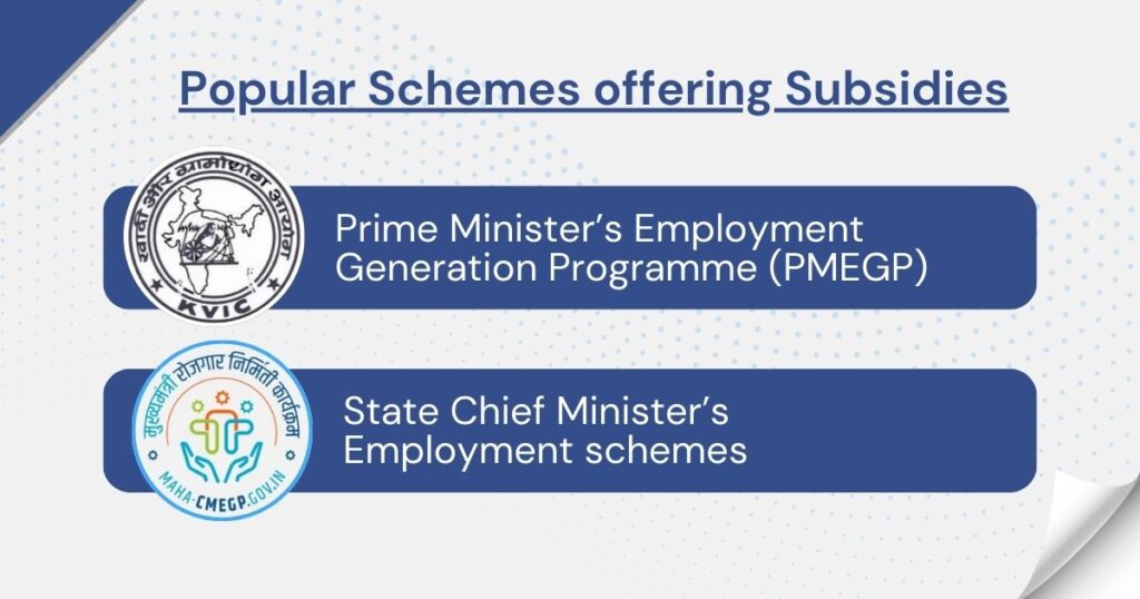 Infographic highlighting popular subsidy schemes for entrepreneurs including PMEGP and State Chief Minister’s Employment Schemes.